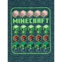 minecr2